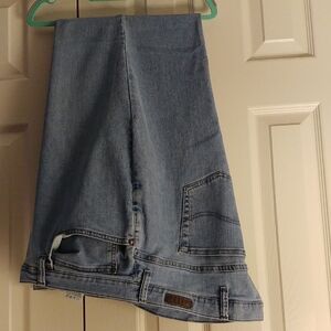 Lee Relaxed Fit 1889 Plus Sized JeansBoot Cut